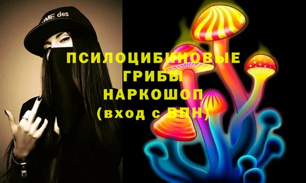 спайс Арсеньев