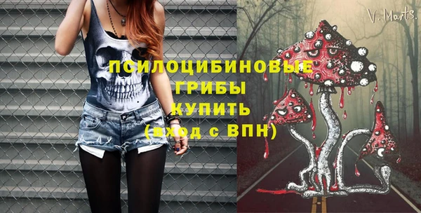 спайс Арсеньев