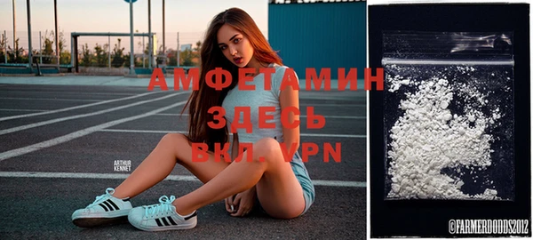 стафф Валдай